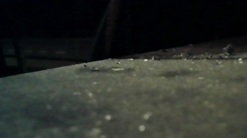kobold300  03-11-2021 Recorded Video Webcam